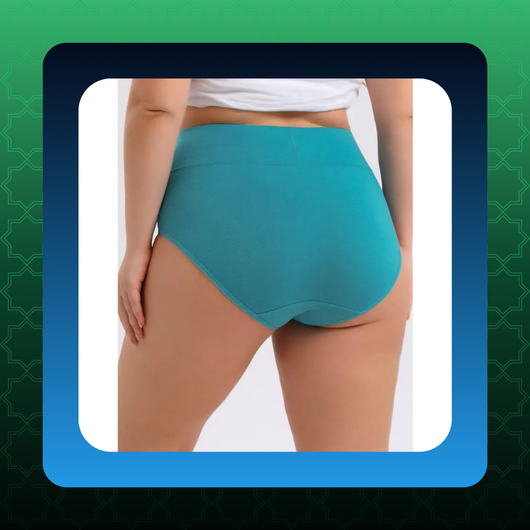 Women's Plus Size High Waisted Underwear (4-Pack) [VIP]